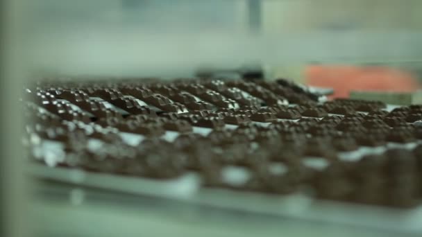 Producción de chocolate en cinta transportadora industrial — Vídeo de stock