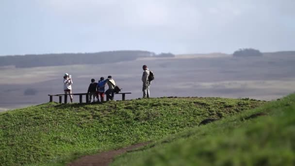 Paskalya Adası anıtlar — Stok video
