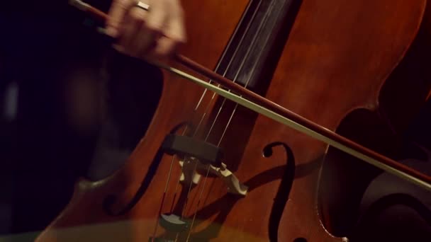 Músico tocando Violinchello — Vídeo de Stock