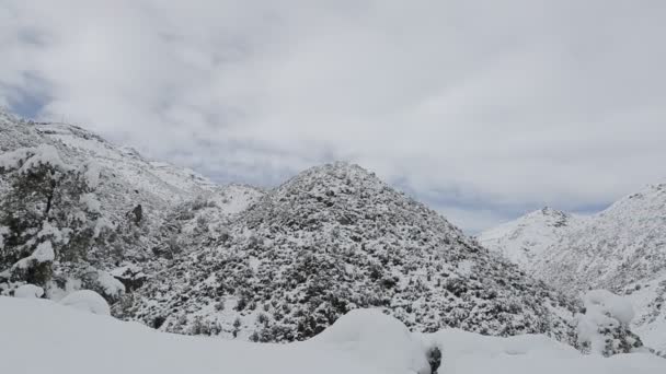 雪に覆われた山 — ストック動画