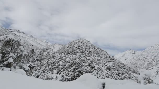 Schneebedeckte Berge — Stockvideo