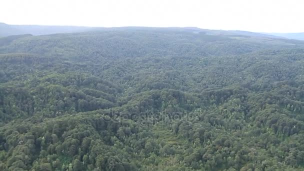 Vista aérea del bosque — Vídeo de stock