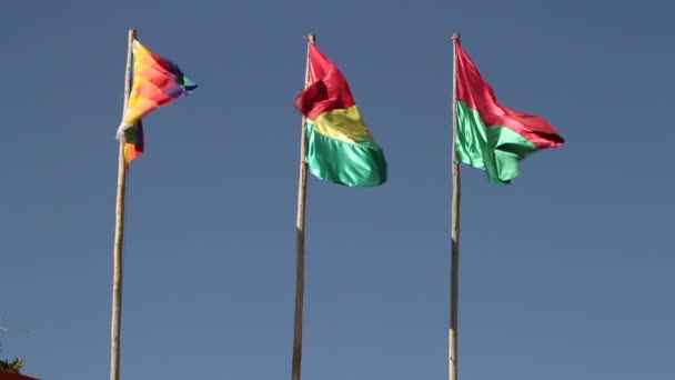 Boliviaanse vlag zwaaien — Stockvideo