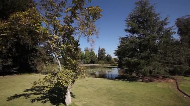 Lagoa e vista de árvores — Vídeo de Stock