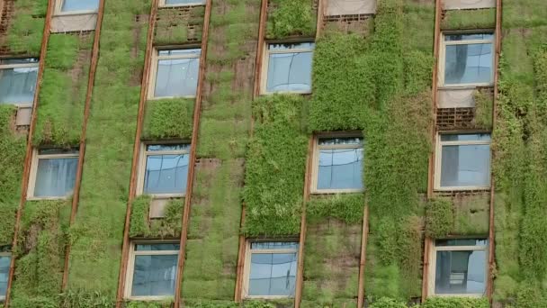 Eco edificio con plantas — Vídeo de stock