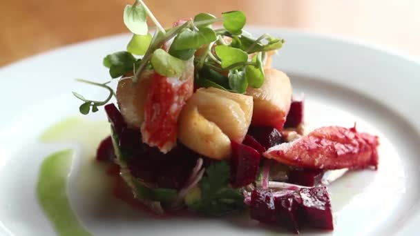 Gourmet-Essen auf Teller mit Gabel — Stockvideo