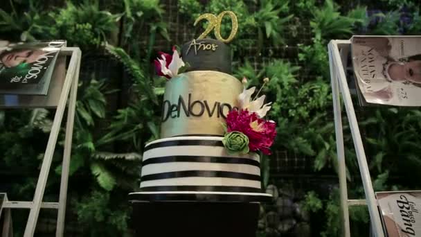 婚礼蛋糕和杂志 — 图库视频影像