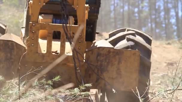 Detail van bosbouwmachines in werk — Stockvideo