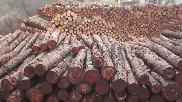 Wooden logs piled up — Stock Video
