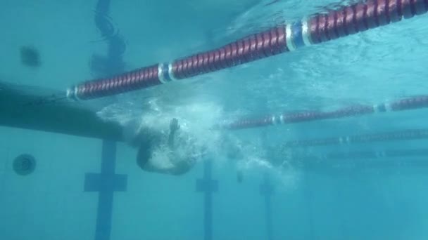 Schwimmer schwimmt im Pool — Stockvideo