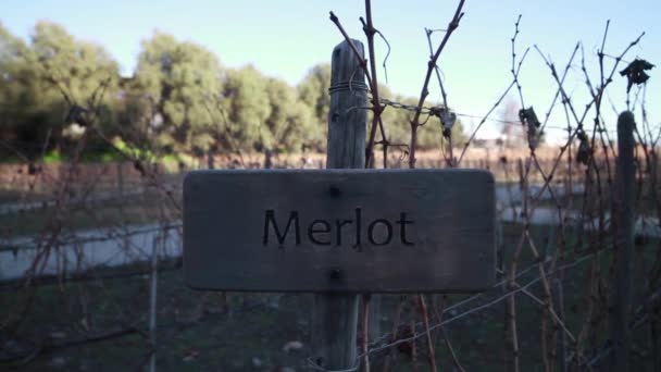Merlot wine field sign — Stock Video