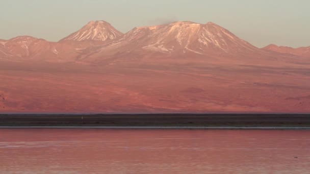 Lago en el desierto de Atacama — Vídeo de stock