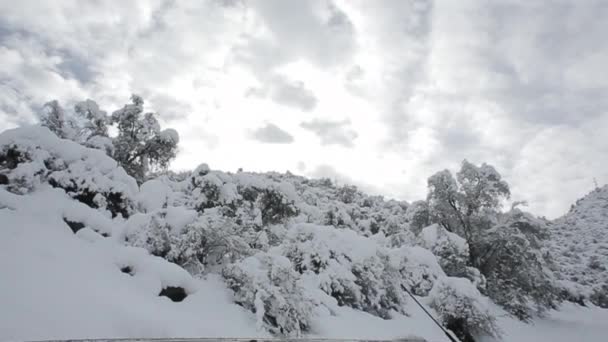Schneebedeckte Berge — Stockvideo
