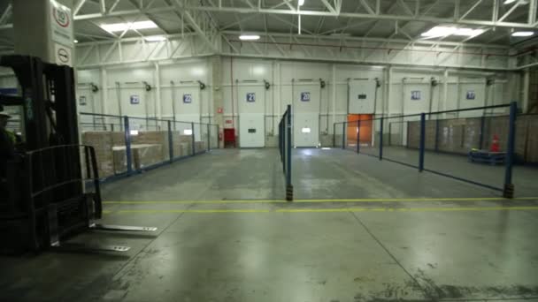 Chariot élévateur dans un entrepôt industriel — Video