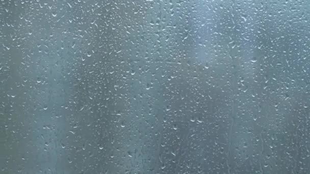 Close up of drops on window — Stock Video