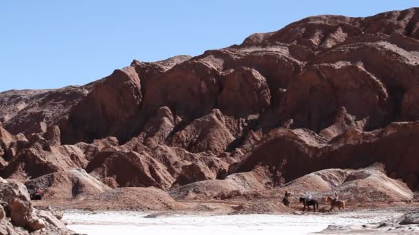 Touristen auf Pferden in der Wüste — Stockvideo