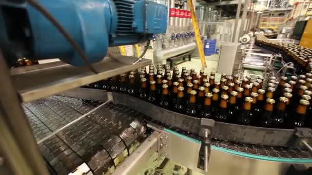 Fles productielijn — Stockvideo