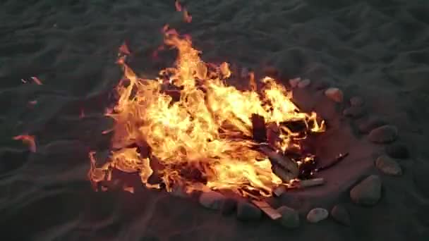 Falò nella sabbia di una spiaggia — Video Stock