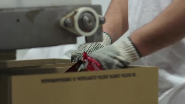 Verpackung von Kartons mit Ketchup-Tüten — Stockvideo