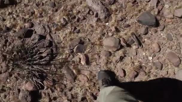 Atacama deserto turista POV — Vídeo de Stock