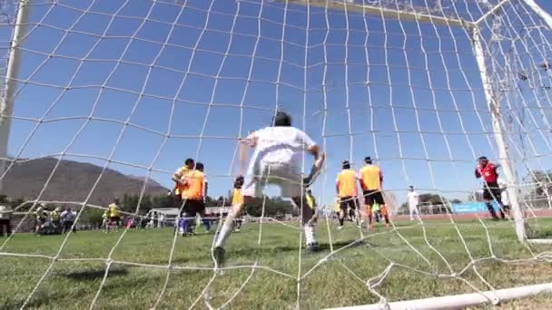 Jogadores de futebol atrás da rede — Vídeo de Stock