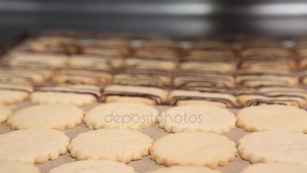 Cierre de las cookies que se están preparando — Vídeos de Stock