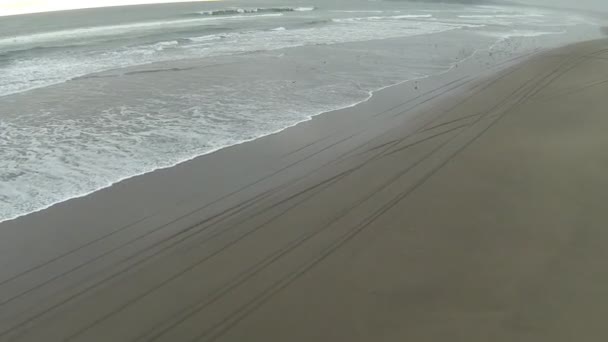 Хвилі падають на пляжі — стокове відео