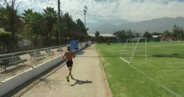 Тренування бігуна в парку — стокове відео
