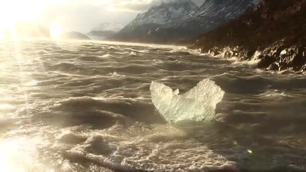 Hielo en el agua del océano — Vídeos de Stock