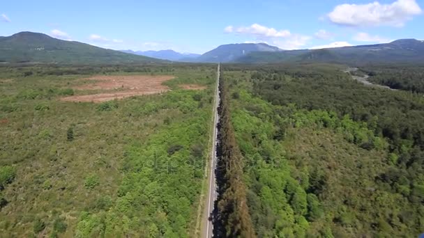 Vista da estrada florestal a partir de aeronaves — Vídeo de Stock