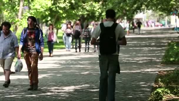 Studenten lopen rustig onder een groen bladerdak — Stockvideo
