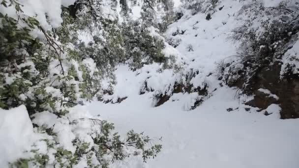 Caminhão ascende monte nevado — Vídeo de Stock