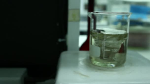 Soluciones líquidas transparentes en vasos de precipitados — Vídeo de stock