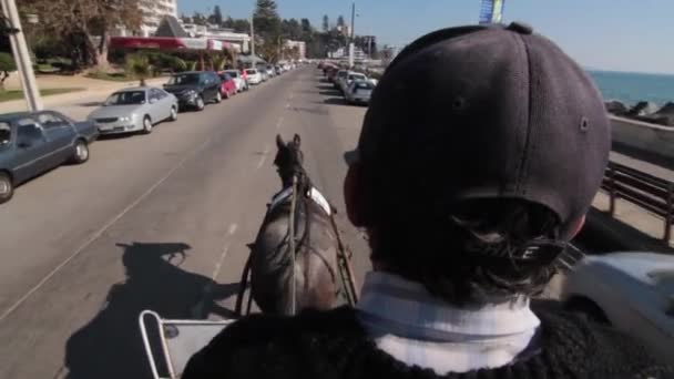 Cavalgando na carruagem POV — Vídeo de Stock