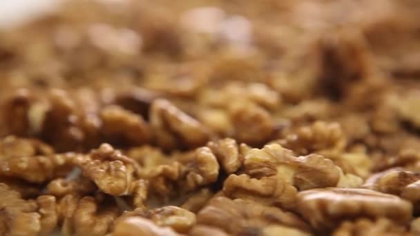 Mnoho čerstvých vlašských ořechů — Stock video
