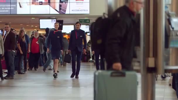 Lucht personeel lopen via airport — Stockvideo