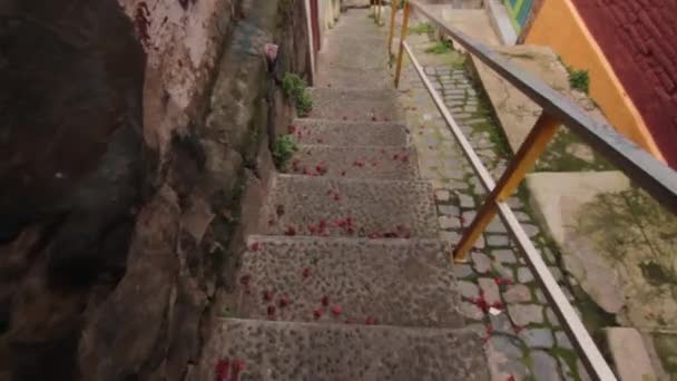 POV descendant l'escalier — Video