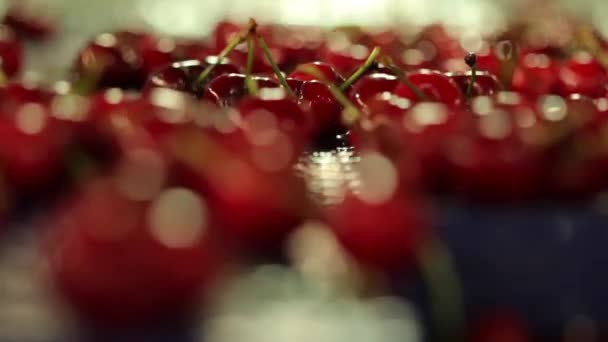 Cerezas en cinturón de fábrica — Vídeos de Stock