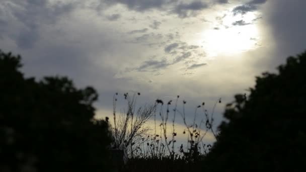 Вид на восход солнца — стоковое видео