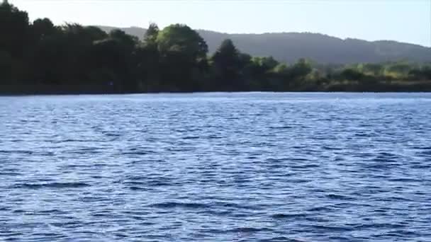 Lac de POV de bateau — Video