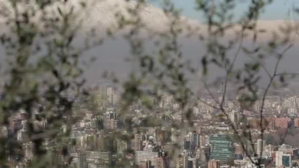 Edificio detrás del follaje — Vídeos de Stock