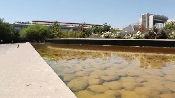 Campus ao ar livre verde — Vídeo de Stock