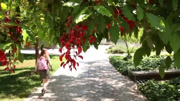 Menina caminhando sob folhas — Vídeo de Stock