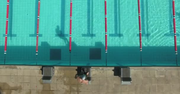 Nadador nadando na piscina — Vídeo de Stock