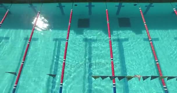 Schwimmer schwimmt im Pool — Stockvideo