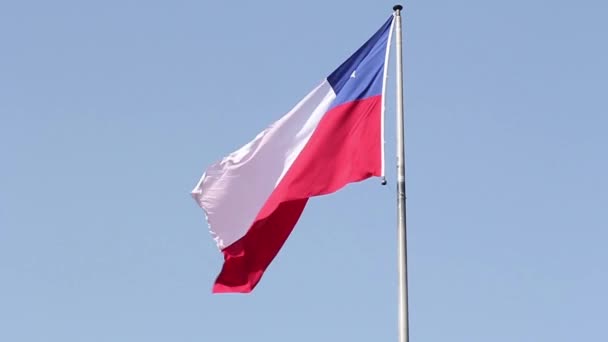 Şili bayrak sallayarak — Stok video