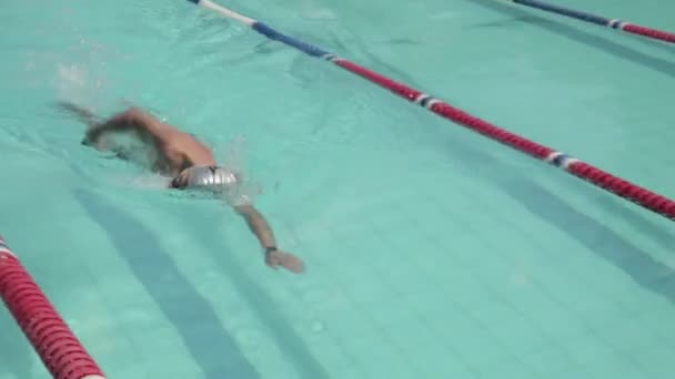 Swimmer swimming in pool — Stock Video