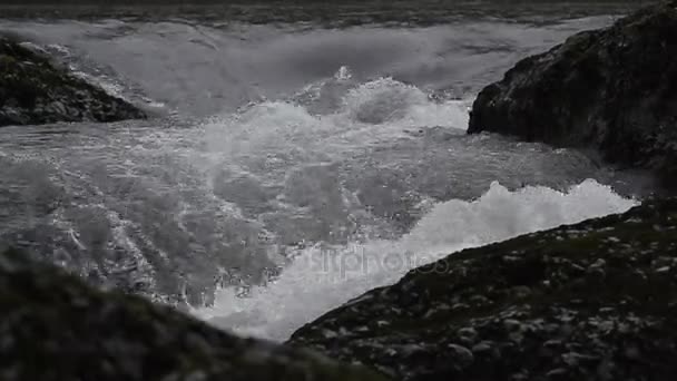 Ποταμός τρέχουσα με αφρό — Αρχείο Βίντεο