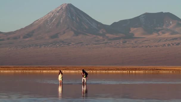 Desierto turistas bañarse — Vídeos de Stock