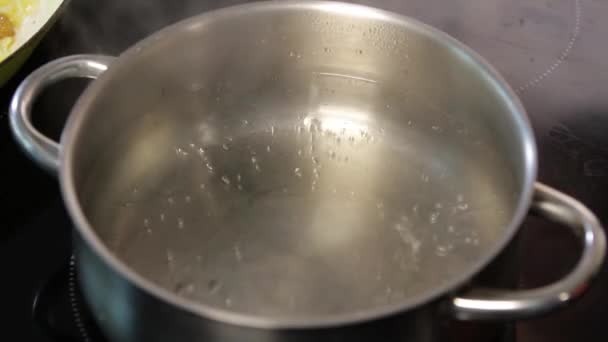 Eau bouillante dans la casserole — Video